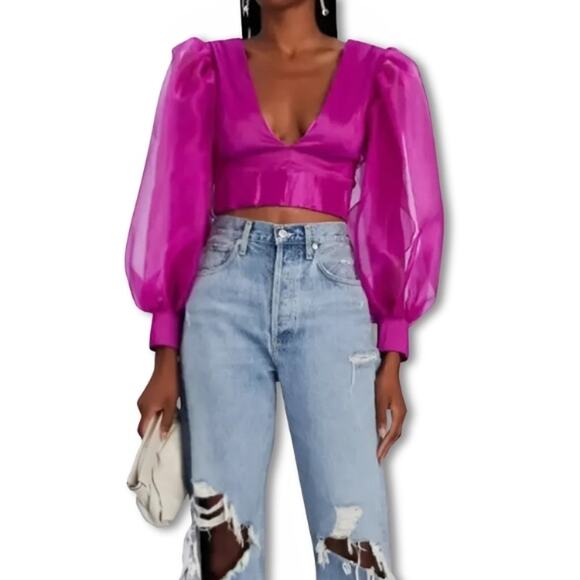 Kimberly Goldson Liyah Sheer Crop Top Puff Sleeve Back Zip Closure Pink XS NWOT - Picture 1 of 10